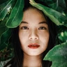 ๅณๅฅ้